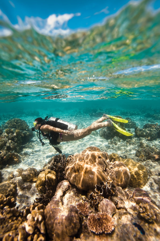 Diver Shallow